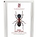 Steklar: Myror - getingar. Hymenoptera: Formicidae�vespidae