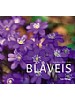 Bl�veis