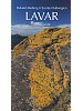 Lavar