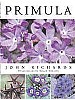 Primula