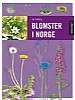 Blomster i Norge