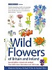 Wild Flowers of the Mediterranean