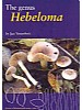 The Genus Hebeloma