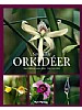 Sensuelle orkideer