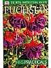 RHS Fuchsias
