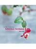 Guide to growing fabulous Fuchsias
