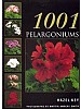 1001 Pelargoniums