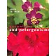 Geraniums and Pelargoniums