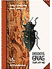 Insektgnag i bark och ved