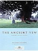 The Ancient Yew