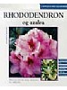 Rhododendron og Azalea