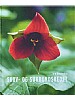 Skov- og surbundsbedet