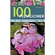 100 Pelargonier
