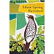 Silent Spring Revisited