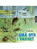 P� jakt etter sm� dyr i vannet