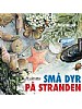 P� jakt etter sm� dyr p� stranden