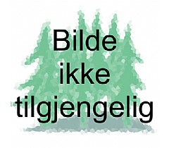 Gode boktilbud!