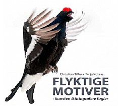 Ny norsk fuglefotograferingsbok!