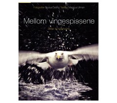 Vakker fuglebok - 50 % rabatt