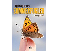 Opplev og utforsk sommerfugler
