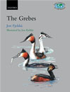 Grebes