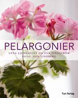 Pelargonier  