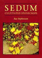 Sedum - cultivated stonecrops 