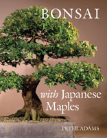 Bonsai with Japanese Maples 