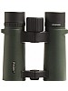 Focus Observer 10x34