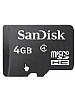 Garmin 4 GB microSD card with SD adapter