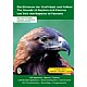 The Sounds of Raptors and Falcons