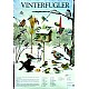 Vinterfugler ved foringsbrettet