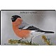 Puslespill - Dompap 10 brikker