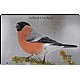 Puslespill - Dompap 20 brikker