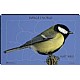 Puslespill - Kjttmeis 10 brikker