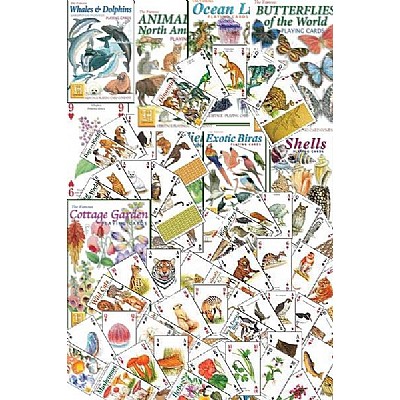 Hagefugler - Garden Birds
