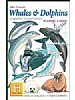 Hvaler og delfiner - Whales & Dolphins