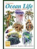 Livet i havet - Ocean life