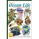 Livet i havet - Ocean life
