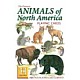 Nord-Amerikanske dyr - Animals of North America