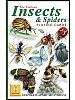 Insekter og edderkopper