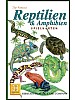 Reptiler og amfibier