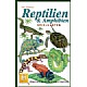 Reptiler og amfibier