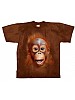 T-Skjorte Orangutangbarn str. barn 10 år  (140)