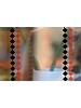 Birdsafe Opalfilm rombemnster svart/orange