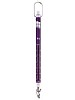 Pesola Micro Line 60g