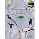 Bird Families of the World