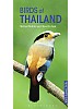 Birds of Thailand