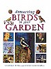 Attracting Birds to your Garden