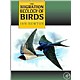 The Migration Ecology of Birds